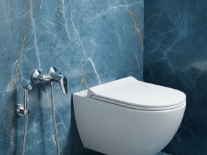 Mixa Mitigeur de Toilette CHR SANINDUSA