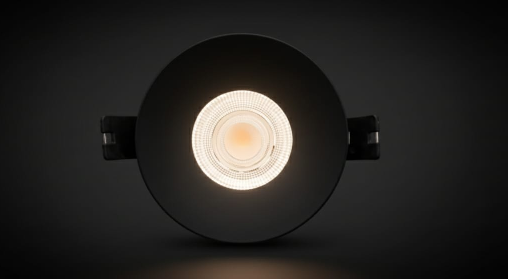 WhatsApp Image 2025-12-24 at 21.16.44